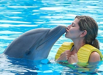 Swimming with the Dolphins in Alanya