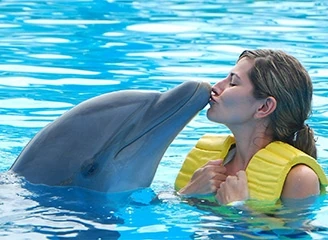 Kemer Swimming with Dolphins